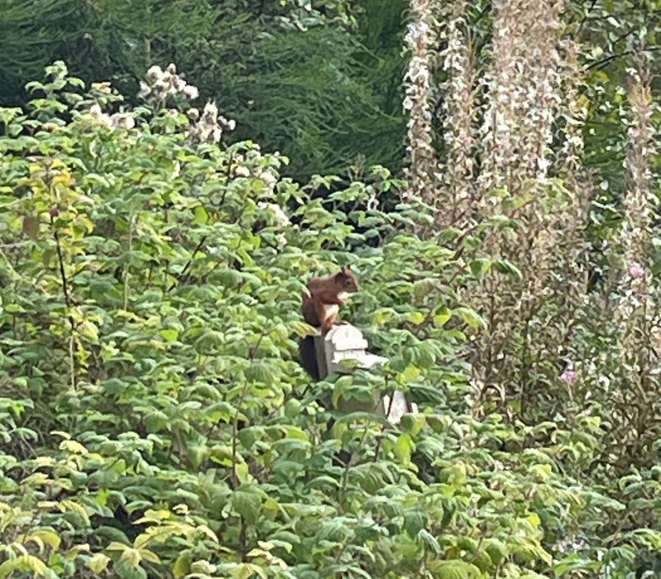 奥本Red Squirrel Pod With Hot Tub别墅 外观 照片